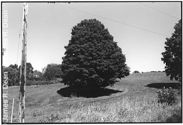 James R. Dean, photographer